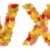 Characters W and X made of autumn leaves stock photo © erierika