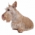 terrier · perro · aislado · mamífero · nacional - foto stock © eriklam