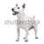blanco · terrier · perro · aislado · mamífero - foto stock © eriklam
