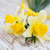 Daffodils stock photo © Es75