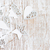 Christmas background stock photo © Es75
