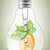 eco · lampadina · impianto · arancione · foglie · verdi · natura - foto d'archivio © evetodew