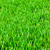 grama · verão · verde · piso · cor · planta - foto stock © EwaStudio