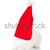 ウサギ · 着用 · サンタクロース · 帽子 · 小 · 白 - ストックフォト © feedough