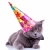 mare · engleză · petrecere · pisică · pălărie - imagine de stoc © feedough