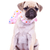 pug puppy dog with a pink scarf stock photo © feedough