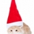  red and white cat wearing a santa hat stock photo © feedough