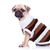 little mops puppy wearing clothes stock photo © feedough