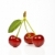 cerises · fruits · vert · rouge · manger · légumes -  © Fesus