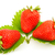Strawberries berry stock photo © Fesus
