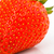 Strawberries berry stock photo © Fesus