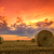 naplemente · farm · mező · széna · befejezés · nap - stock fotó © Fesus