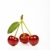 cerises · fruits · vert · rouge · manger · légumes -  © Fesus