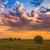 naplemente · farm · mező · széna · fotó · gyártmány - stock fotó © Fesus