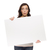 Wide Eyed Mixed Race Female Holding Blank Sign on White stock photo © feverpitch