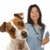 Jack · Russell · Terrier · weiblichen · Tierarzt · hinter · liebenswert · isoliert - stock foto © feverpitch