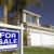 Blue For Sale Real Estate Sign and House stock photo © feverpitch