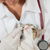 veterinario · clínica · gatito · inspección · realizar · dentales - foto stock © fotoedu