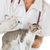 veteriner · klinik · kedi · yavrusu · aşı · enjeksiyon · kedi - stok fotoğraf © fotoedu