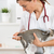 Veterinär- · Klinik · Kätzchen · Aufnahme · Temperatur · Katze - stock foto © fotoedu
