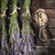 Bunch of lavender flowers stock photo © Fotografiche