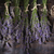 Bunch of lavender flowers stock photo © Fotografiche