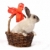 bunny · coş · drăguţ · iepure · arc · primăvară - imagine de stoc © fouroaks