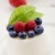 Panna cotta with Berries on white table stock photo © Francesco83