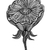 kwiat · biały · czarny · linie · gryzmolić - zdjęcia stock © frescomovie