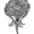 floare · alb · negru · linii · mazgalitura - imagine de stoc © frescomovie