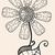 szkic · streszczenie · kwiat · czarny · beżowy - zdjęcia stock © frescomovie