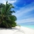spiaggia · Maldive · bella · spiaggia · tropicale · turchese · mare - foto d'archivio © fyletto