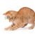 橙 · 小貓 · 播放 · 白 · 可愛 - 商業照片 © gabes1976