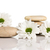 spa · stenen · bloemen · geïsoleerd · witte · abstract - stockfoto © gitusik