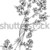 elegáns · virágmintás · dekoratív · textúra · eps8 · terv - stock fotó © Glasaigh