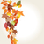színes · őszi · levelek · illusztráció · vektor · aranyos · kézzel · rajzolt - stock fotó © glyph