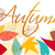 colorido · hojas · de · otoño · ilustración · vector · dibujado · a · mano · estilo - foto stock © glyph
