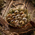 fresche · uovo · fieno · nido · rustico · legno - foto d'archivio © grafvision