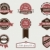 Premium Quality and Guarantee Badges with retro vintage style stock photo © graphit