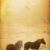 Horse Background stock photo © Hasenonkel