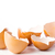 Broken egg isolated placed  stock photo © hin255