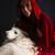 Red Hiding Hood concept stock photo © hsfelix