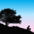Baum · Sonnenuntergang · guy · Sitzung · Hügel · ansehen - stock foto © huhulin