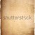 vintage paper background stock photo © ilolab