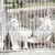 white doves on a sunny day in a wooden cage stock photo © inxti
