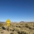 Sign in desert. stock photo © iofoto