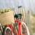 fiets · bloemen · Rood · vintage · mand - stockfoto © iofoto