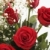 Bouquet · rote · Rosen · Atem · weiß · rot - stock foto © iofoto