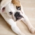 bulldog · piso · de · madera · Inglés · pies · mirando · retrato - foto stock © iofoto