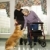 Elderly woman with therapy dog. stock photo © iofoto